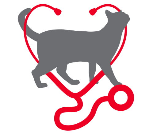 Логотип Cat to The Vet